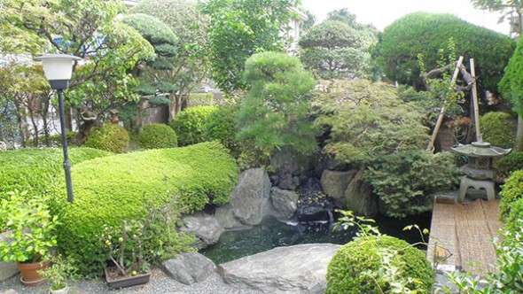 日本庭園の様子です。四季折々の草花が楽しめます。