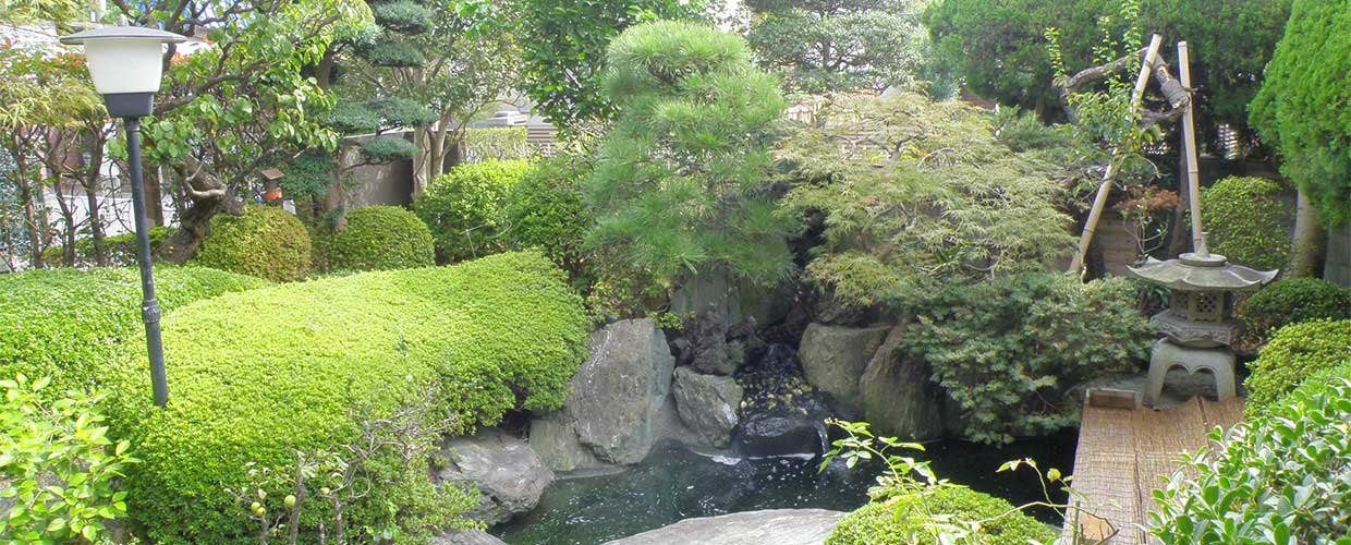 診療室から見える日本庭園